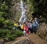 5-Day Lap of Tasmania Tour from Hobart flexible ticket - Find Attractions
