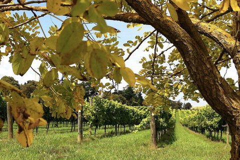 Private Southern Highlands Day Trip From Sydney Including Fitzroy Falls - Find Attractions 5