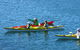 Half-Day Sydney Middle Harbour Guided Kayaking Eco Tour - thumb 0