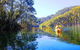 Half-Day Sydney Middle Harbour Guided Kayaking Eco Tour - thumb 1