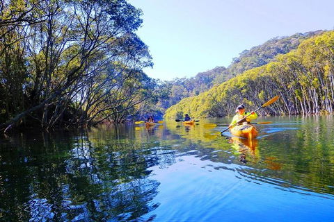 Half-Day Sydney Middle Harbour Guided Kayaking Eco Tour - Find Attractions 1