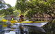 Half-Day Sydney Middle Harbour Guided Kayaking Eco Tour - thumb 3