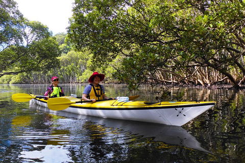 Half-Day Sydney Middle Harbour Guided Kayaking Eco Tour - Find Attractions 3