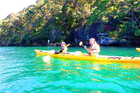 Half-Day Sydney Middle Harbour Guided Kayaking Eco Tour - Find Attractions 4
