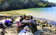Half-Day Sydney Middle Harbour Guided Kayaking Eco Tour - thumb 5