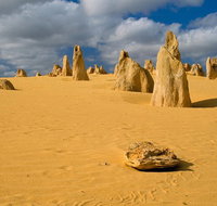 The Pinnacles Sea and Dunescapes Bush Reserve and Sunset Day Tour - Find Attractions