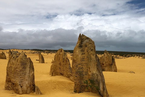 Private Pinnacles Day Tour - Find Attractions 1