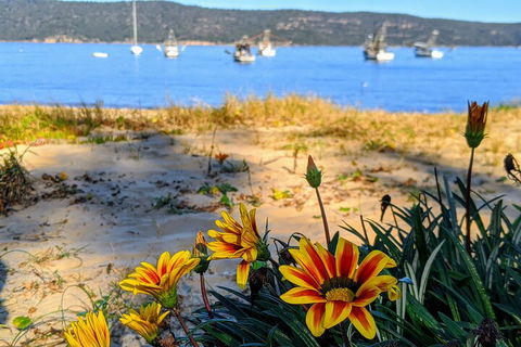 Central Coast Explorer With 'Personalised Sydney Tours' - Find Attractions 2