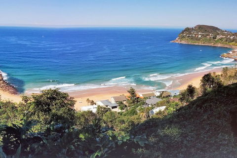 Manly & Sydney's Northern Beaches With 'Personalised Sydney Tours' - Find Attractions 2