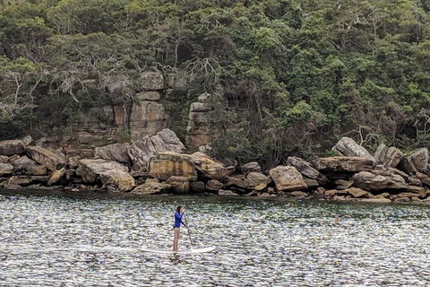 Manly & Sydney's Northern Beaches With 'Personalised Sydney Tours' - Find Attractions 3