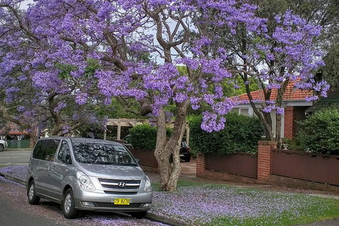 Sydney Secrets & Bondi Beach Private 4 Hr Morning With Personalised Sydney Tours - Find Attractions 0