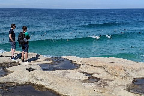 Sydney Secrets & Bondi Beach Private 4 Hr Morning With Personalised Sydney Tours - Find Attractions 2
