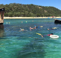 All Inclusive Dolphin and Tangalooma Wrecks Cruise - Find Attractions