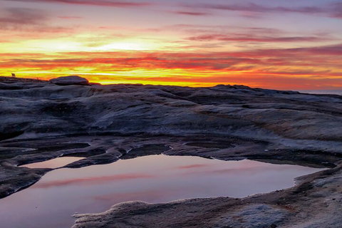 Phone Photography Workshop - Explore Coogee Beach - Find Attractions 3