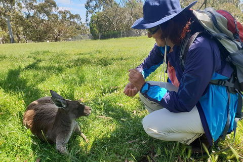 Mount Lofty Hike And Cleland Wildlife Park Day Trip From Adelaide - Find Attractions 1