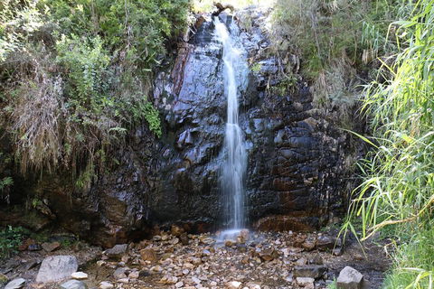 Mount Lofty Hike And Cleland Wildlife Park Day Trip From Adelaide - Find Attractions 4