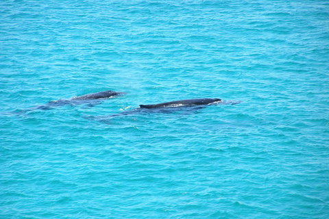 Stradbroke Island 4WD Day Trip From Brisbane - Find Attractions 4