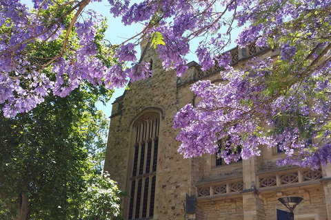 Cultural Caper Adelaide Walking Tour - Find Attractions 1