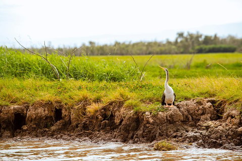 Darwin City Sights And Jumping Crocodile Cruise - Find Attractions 2