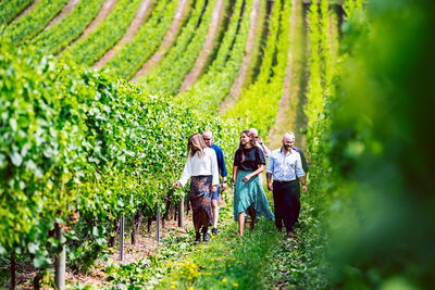 Tasmanian Wine Tour