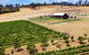Tasmanian Wine Tour - thumb 3