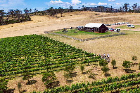 Tasmanian Wine Tour - Find Attractions 3
