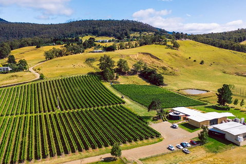 Tasmanian Wine Tour - Find Attractions 4