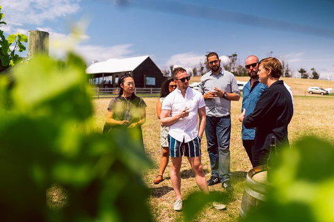 Tasmanian Wine Tour - Find Attractions 5