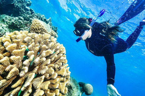 Green Island Day Trip From Cairns - Find Attractions 1