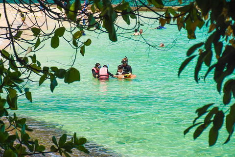 Green Island Day Trip From Cairns - Find Attractions 2