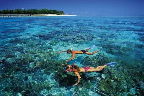 Green Island Day Trip From Cairns - Find Attractions 5