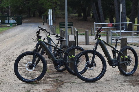Fully Guided E-Mountain Bike Tour On The Beautiful Mornington Peninsula. - Find Attractions 2