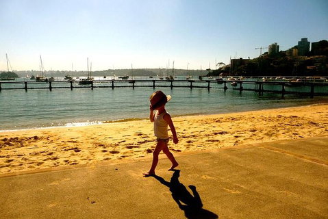 Morning Or Afternoon Highlights Tour In Sydney With A Local Guide - Find Attractions 3