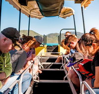 Airlie Beach Glass Bottom Boat Tour - Find Attractions