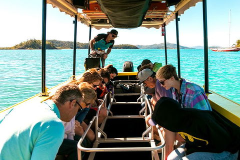 Airlie Beach Glass Bottom Boat Tour - Find Attractions 1