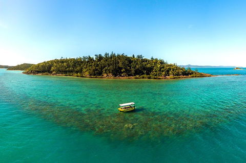 Airlie Beach Glass Bottom Boat Tour - Find Attractions 3