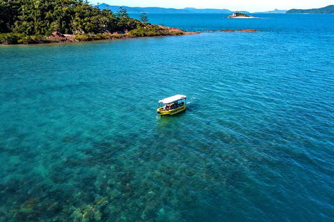 Airlie Beach Glass Bottom Boat Tour - Find Attractions 4