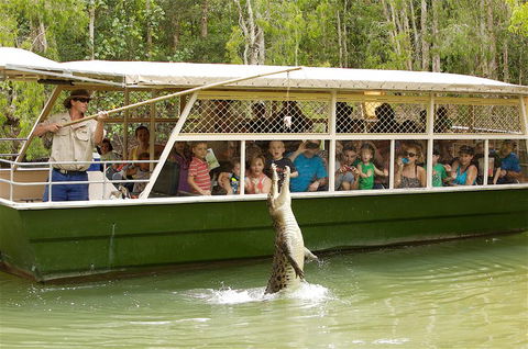 Hartley's Crocodile Adventure Half-Day Tour - Find Attractions 0
