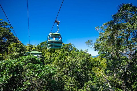 Skyrail Rainforest Cableway Day Trip From Cairns - Find Attractions 1