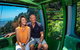 Skyrail Rainforest Cableway Day Trip From Cairns - thumb 2