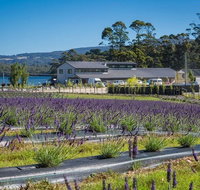 Private Hobart Discover South East Food and Scenic Tour - Find Attractions