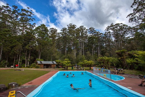 Tahune Airwalk Active Day Trip From Hobart Including Hastings Caves - Find Attractions 0