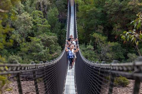 Tahune Airwalk Active Day Trip From Hobart Including Hastings Caves - Find Attractions 3
