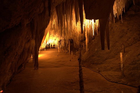 Tahune Airwalk Active Day Trip From Hobart Including Hastings Caves - Find Attractions 4
