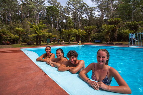 Tahune Airwalk Active Day Trip From Hobart Including Hastings Caves - Find Attractions 5