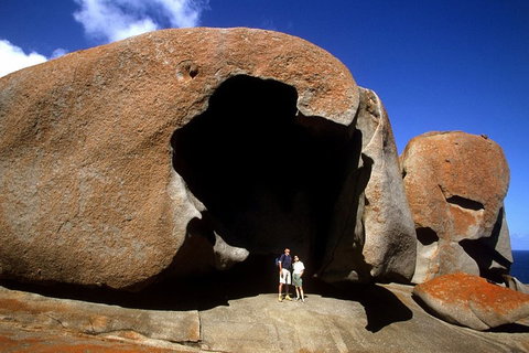 Full-Day Kangaroo Island Safari From Penneshaw - Find Attractions 0