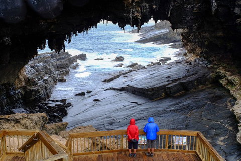 Full-Day Kangaroo Island Safari From Penneshaw - Find Attractions 1