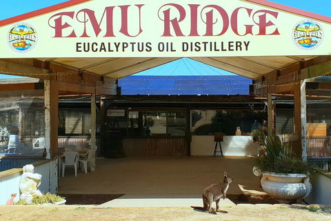 Full-Day Kangaroo Island Safari From Penneshaw - Find Attractions 2