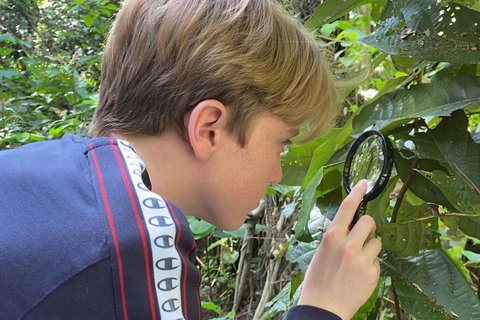 Let's Go Buggin & Let's Go Shroomin - Photography & Nature Walking Tours - Find Attractions 3