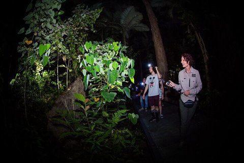 Let's Go Buggin & Let's Go Shroomin - Photography & Nature Walking Tours - Find Attractions 4